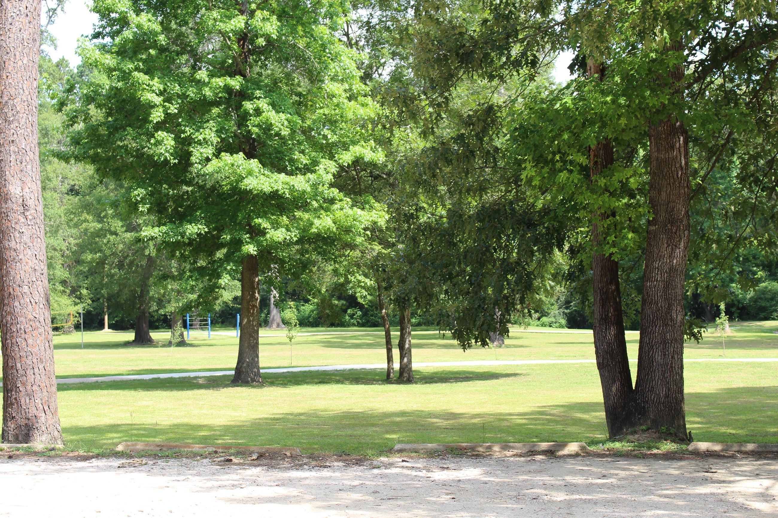 Matthews Street Park